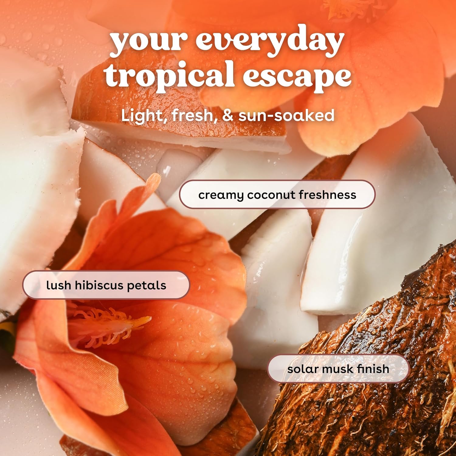 Loción Hidratante Shea Better – Aguas de Coco